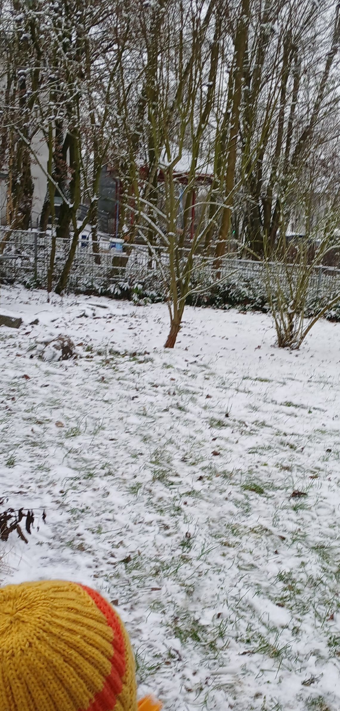 2026.02.27 Winter6 - IGS-Hermann-Ehlers-Schule Wiesbaden